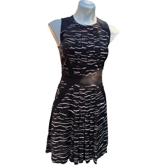 Rebecca Taylor Dresses & Skirts - Rebecca Taylor NWOT Colorblock Panel Skater Dress Brushstroke Print Size 2